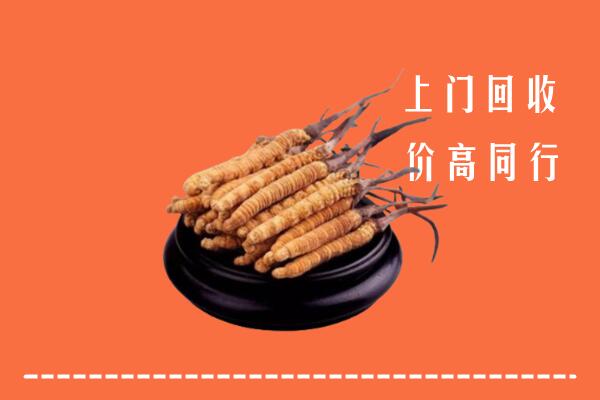 高价求购：郯城县回收散虫草