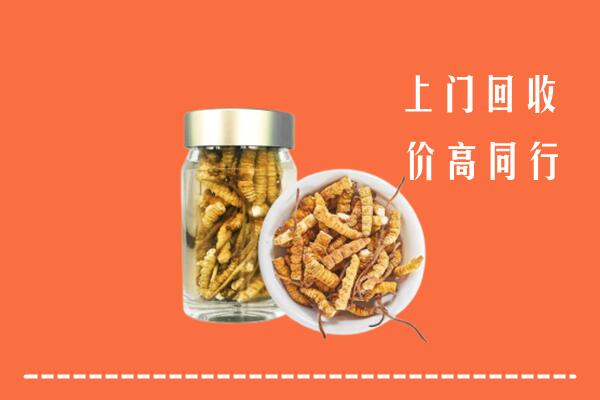 郯城县回收冬虫夏草