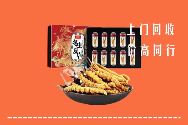 郯城县回收虫草